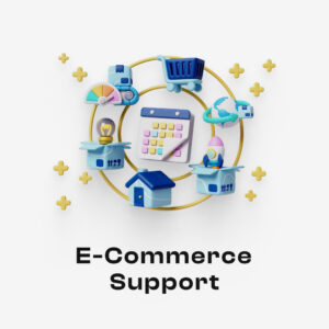 Elevate Your E-commerce Venture with Brandefy's Comprehensive Support